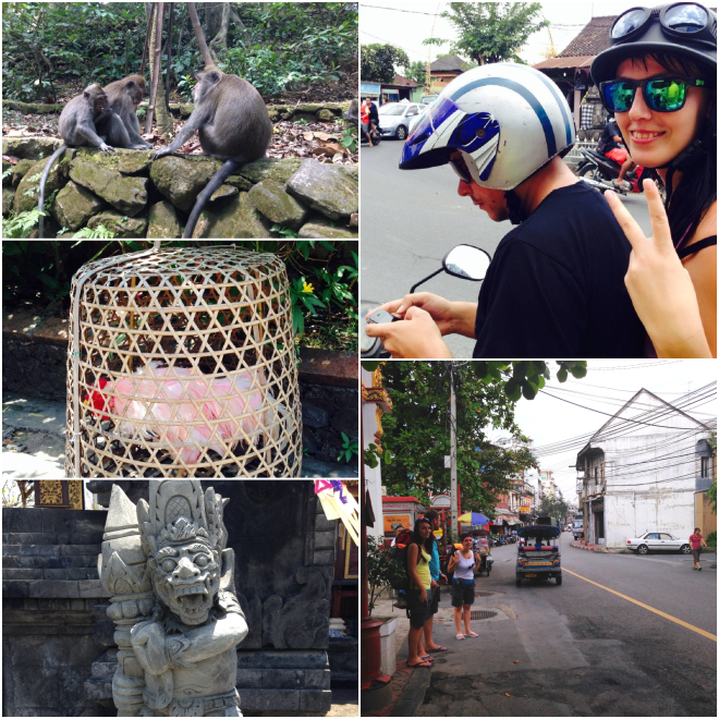 1397035_446758952100493_610601126_o_postcard