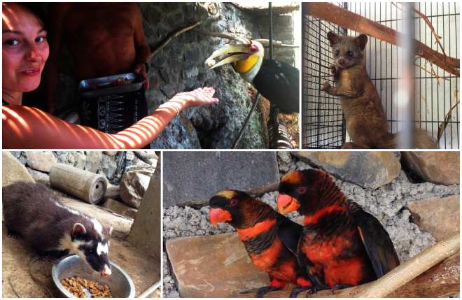 1399806_10202379533706791_660665588_o_postcard