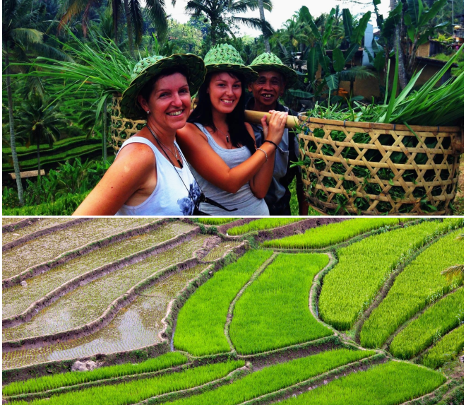 856681_10202379520106451_1797488014_o_postcard