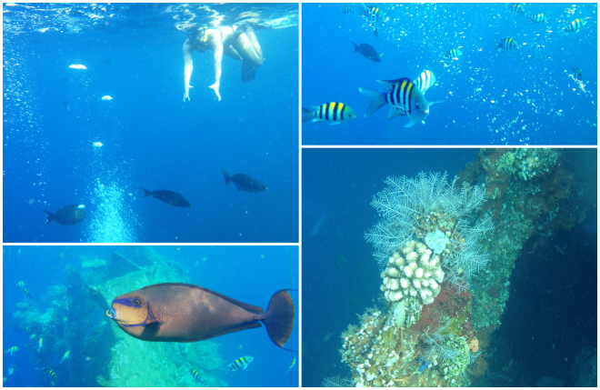 858005_10202379537386883_1114787658_o_postcard