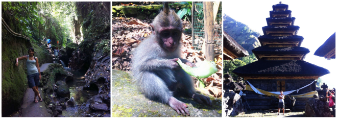 977365_10202379554067300_1255487777_o_postcard