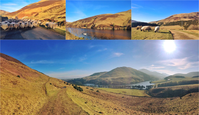 Pentland hills park.png